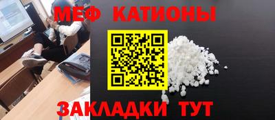шишки Будённовск